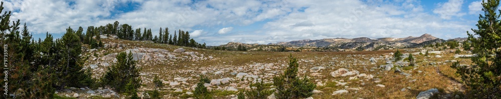 mountain landscape panorama with tundra meadow and pine forest