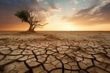 Drought landscape outdoors climate.