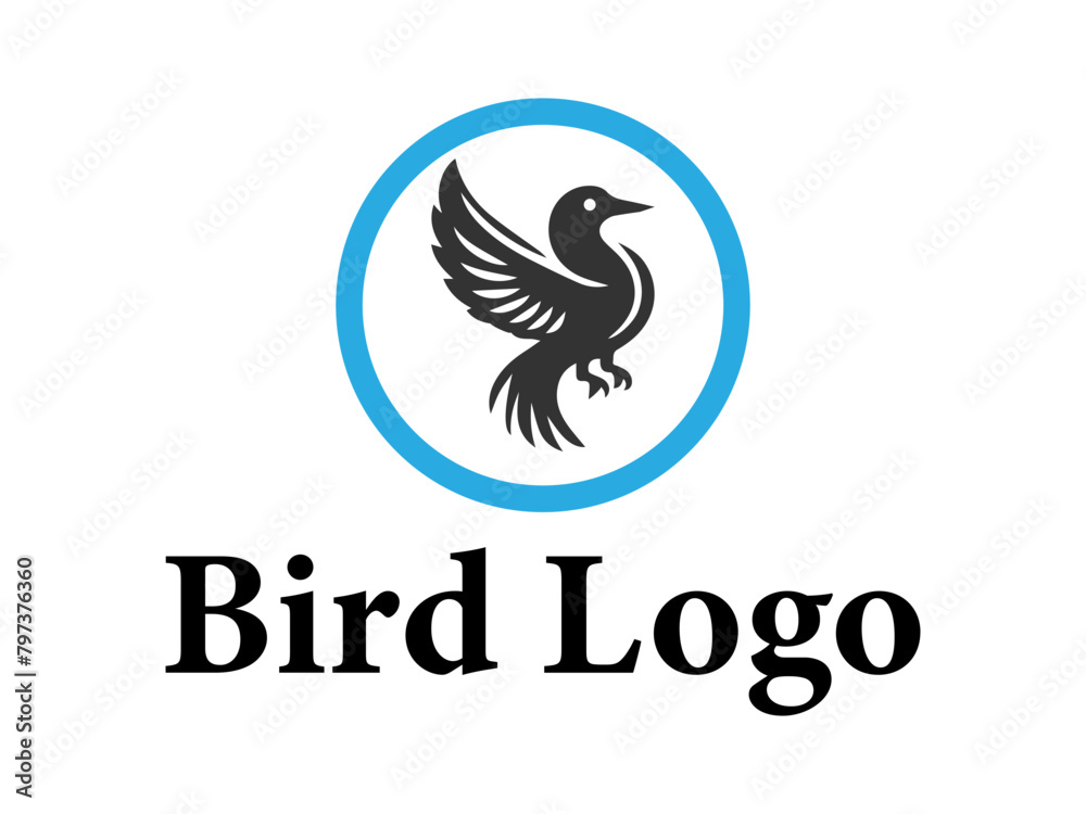 Fototapeta premium Bird logo collection vector design