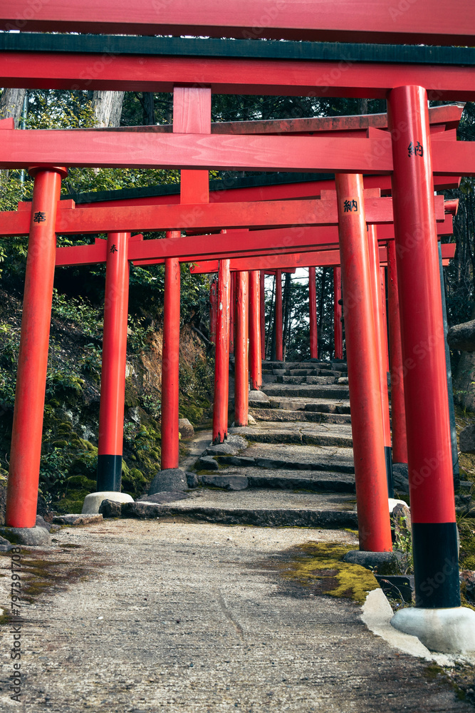 Path of red torii near a shrine in the Kyoto area of Japan.