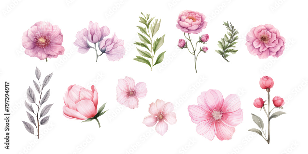 Fototapeta premium Water color flowers are suitable for wedding invitation elements
