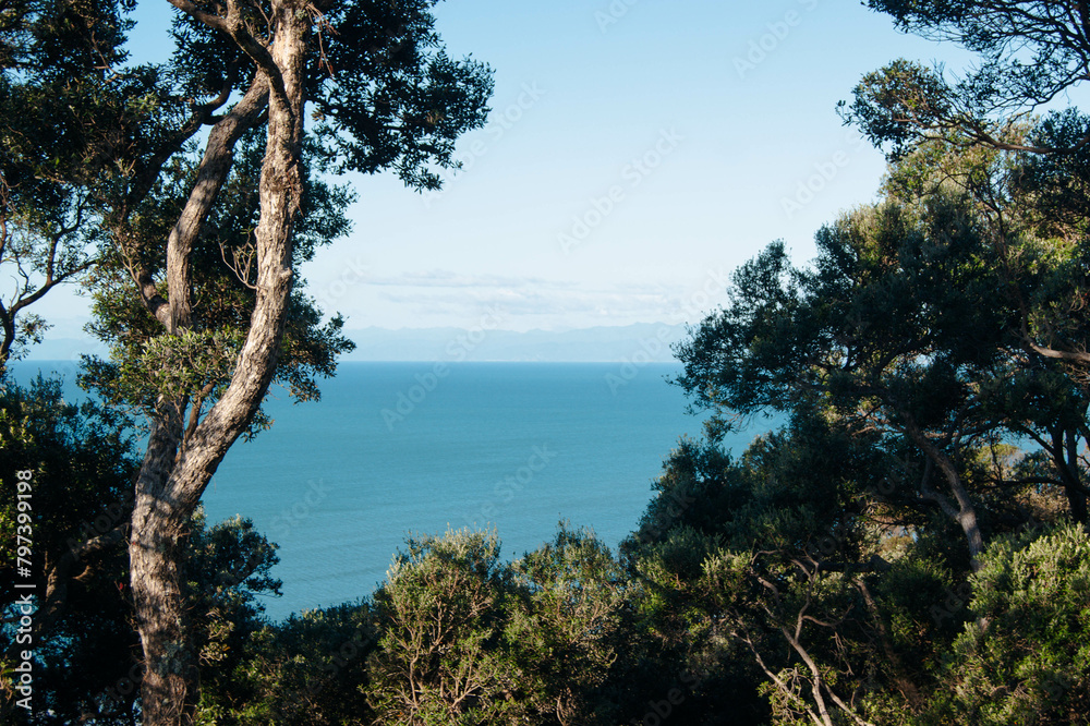 view of the ocean through trees