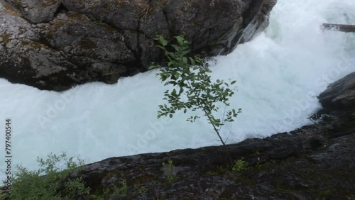 Nature Sightseeing in British Columbia at Cheakamus River photo