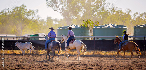 Cowboys on horseback at a campdraft event at an Australian rodeo photo