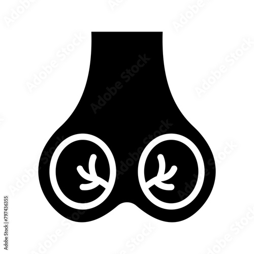 Testicles icon. Testis. Male reproductive organ color editable