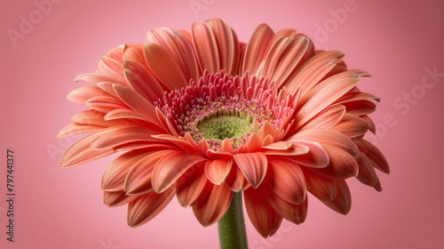 On background, a flower in close-up, spectacularly adorable. A natural greeting, it's a wonderful natural wonder.