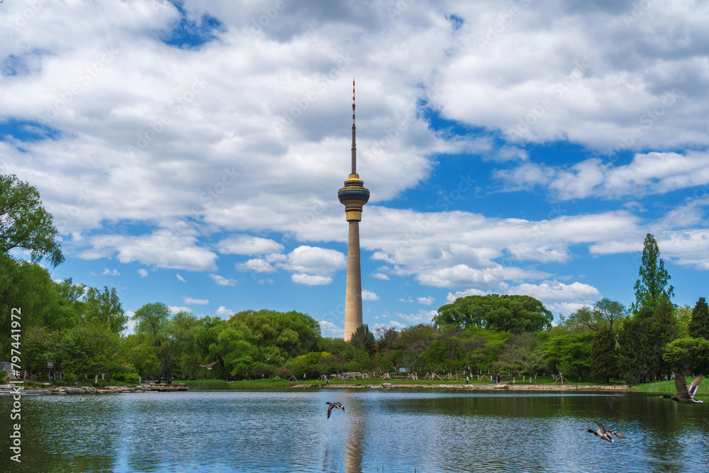 Fototapeta premium Beautiful summer view of Yuyuantan park with flying mallard and CCTV tower of Beijing
