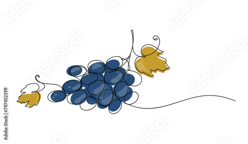 Continuous one line of grape bunch on white background. Vine. Hand drawn minimalistic design for logo, icon or emblem.
