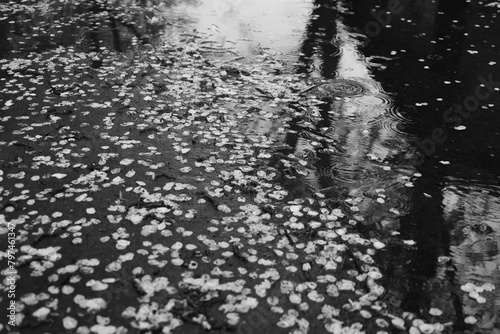 rainy day
