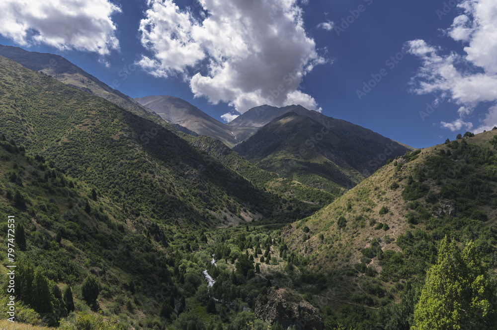 panorama with a view of the green gorge in the Tien Shan mountains in summer in Kazakhstan in the Aksu-Dzhabagly Nature Reserve