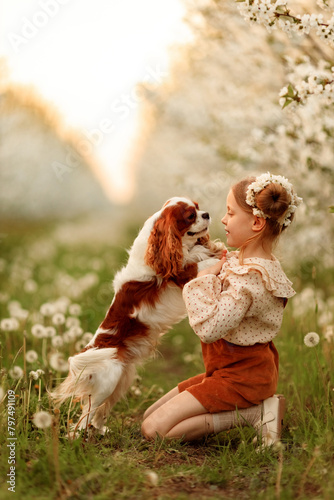 girl and dog Cavalier King Charles Spaniel on a walk in the spring in a blooming garden
