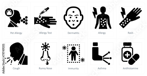 A set of 10 allergy icons as pet allergy, allergy test, dermatitis