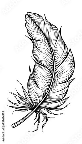 feather engraving black and white outline
