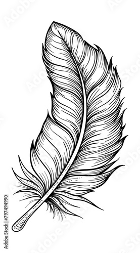 feather engraving black and white outline