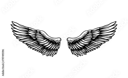 wing pair engraving black and white outline © slowbuzzstudio