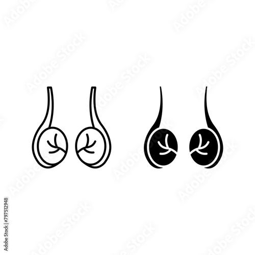 Testicles icon. Testis. Male reproductive organ color editable