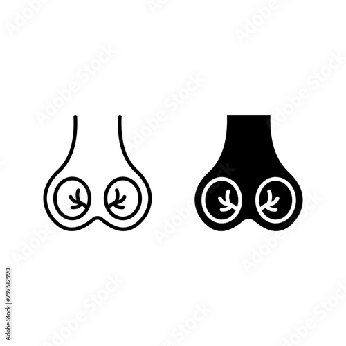 Testicles icon. Testis. Male reproductive organ color editable