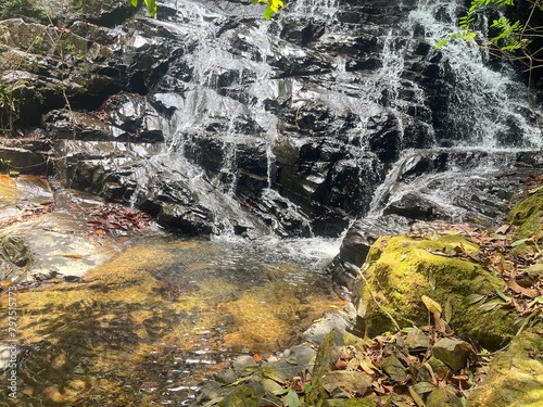 waterfall in the forest