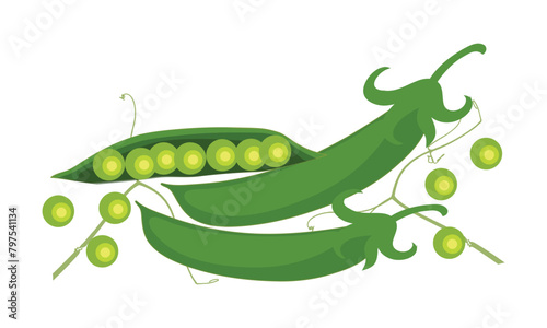 Green Peas Vector Design And Illustration.