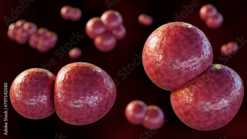 3d rendering of Pediococcus cerevisiae, commonly found in fermenting materials like sauerkraut, beer, and pickles photo