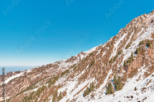 Mountain slope with snow and fir trees on background of blue sky.