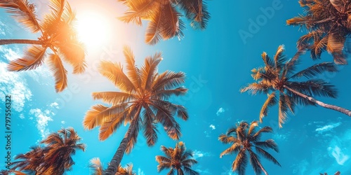 Sunlit Palm Paradise