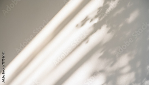 木漏れ日　日差し　日光浴　癒し　休日　そよ風　安らぎ　背景　素材　光　希望　