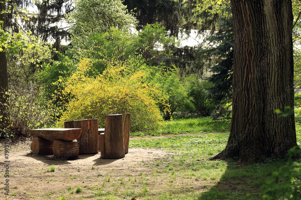 Relaxation area in the forest with wooden benches Relaxation area in the forest with wooden benches