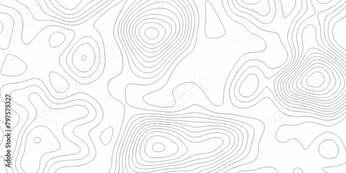 White wave paper curved reliefs abstract background. The topographic map contour in lines isolated. Abstract white topographic map background with lines. Background of the topography map. photo