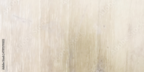 White wood old background texture. White Wood texture background. Timber dark wood emerald wooden background with gray shadow border grunge texture design and wallpaper .