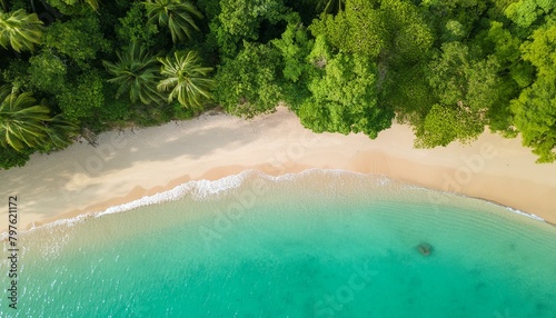 Aerial view of serene beach with lush foliage and turquoise waters