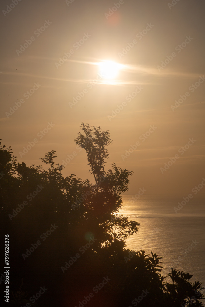 Naklejka premium 奄美の夜明け