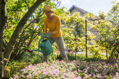 Cuadro en lienzo Happy senior woman enjoys watering plants in her garden.