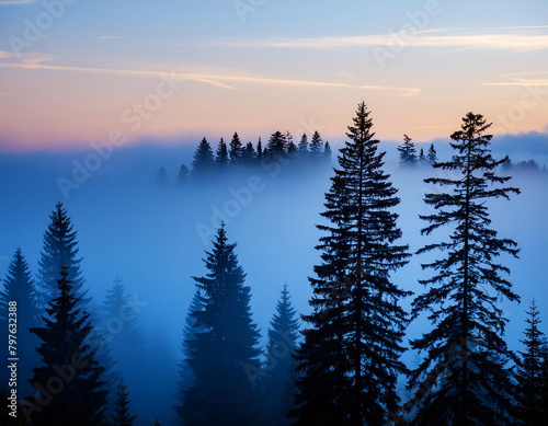 Misty forest at dusk with silhouettes of pine trees