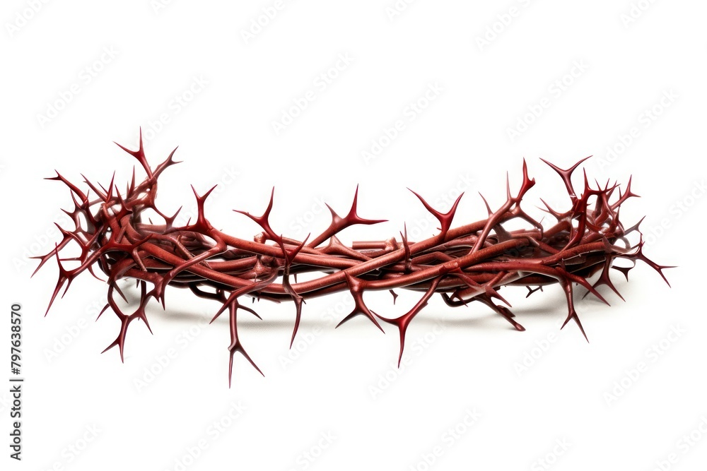Accessories forbidden accessory branch. Accessories forbidden accessory branch.