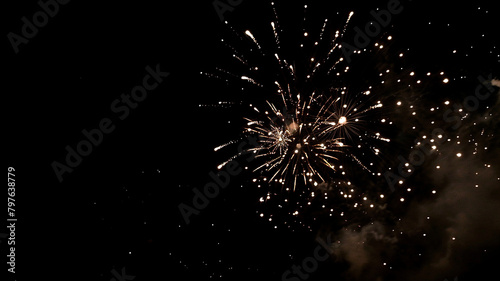 Fireworks on the black sky background