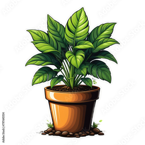 potted green plant png assets 