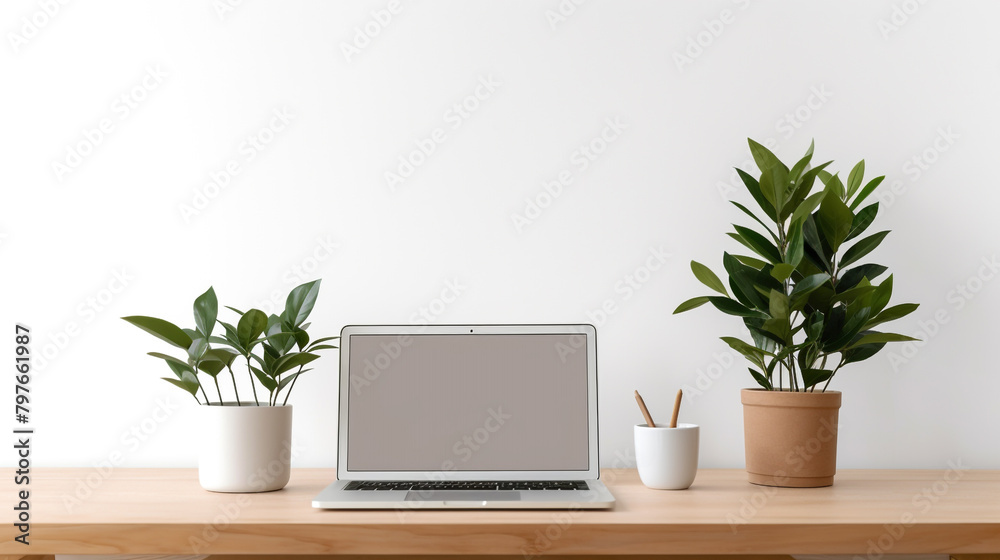 A mockup of laptop with plants in pot over white background A mockup of laptop with plants in pot over white background