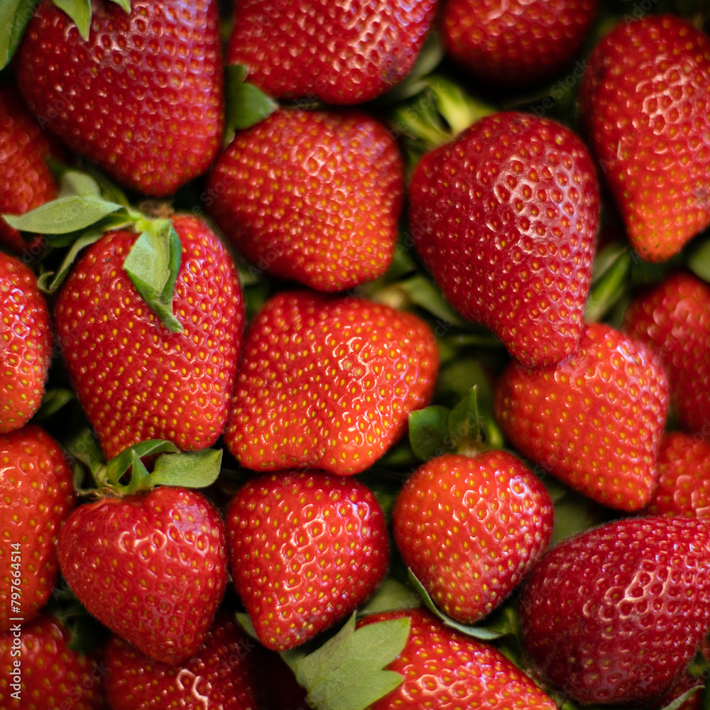 Fresas frescas a pantalla completa Fresas frescas a pantalla completa