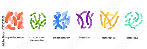 Probiotics. Different colorful microbiome and microbiota. Bifidobacterium and lactobacillus, supplement isolated elements. Gastrointestinal health, vector cartoon flat style isolated illustration photo