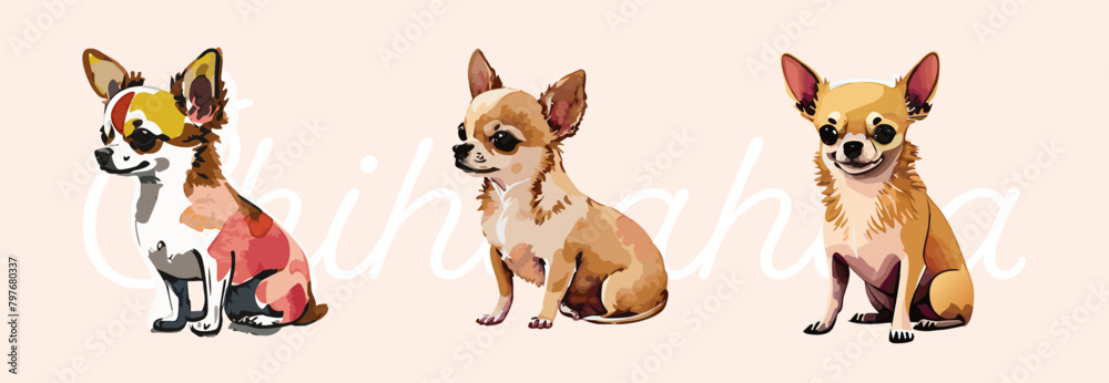 Chihuahua watercolor paint collection. Set of cute Chihuahua animals isolated on background. 