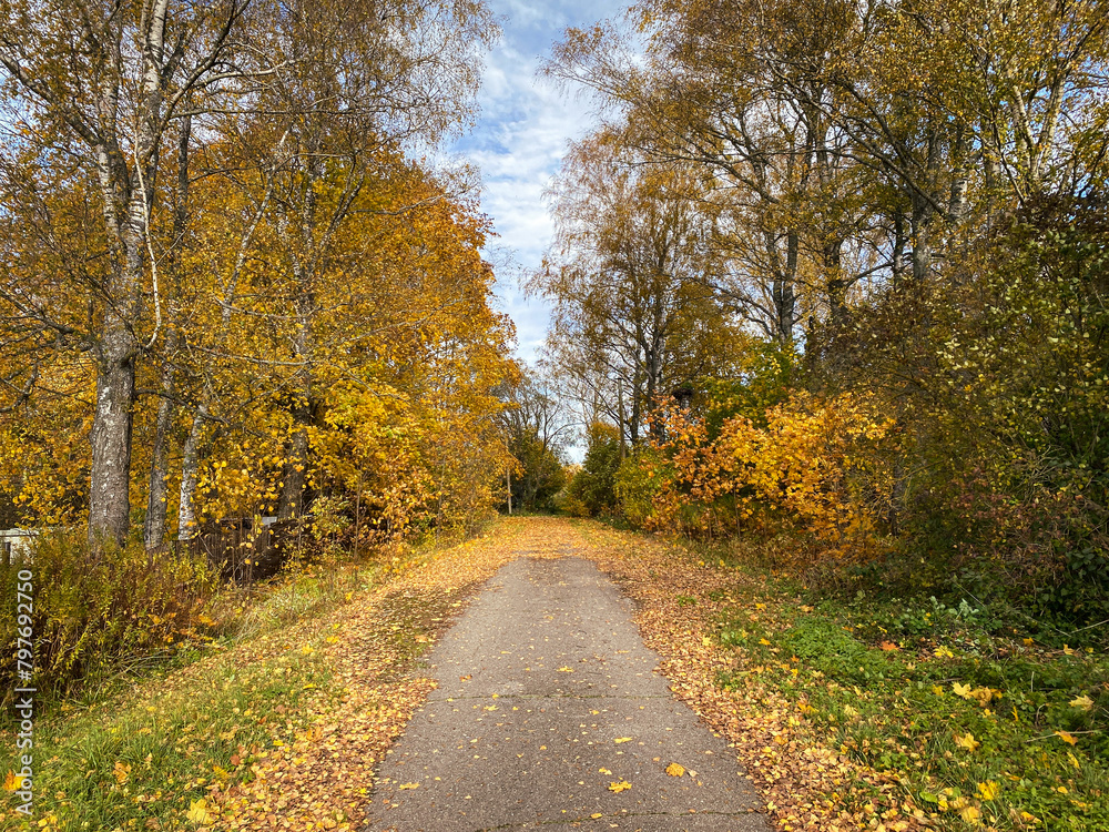 Autumn country landscape on a sunny day Autumn country landscape on a sunny day