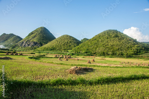 Rice fields at Tam Son, Ha Giang, Vietnam