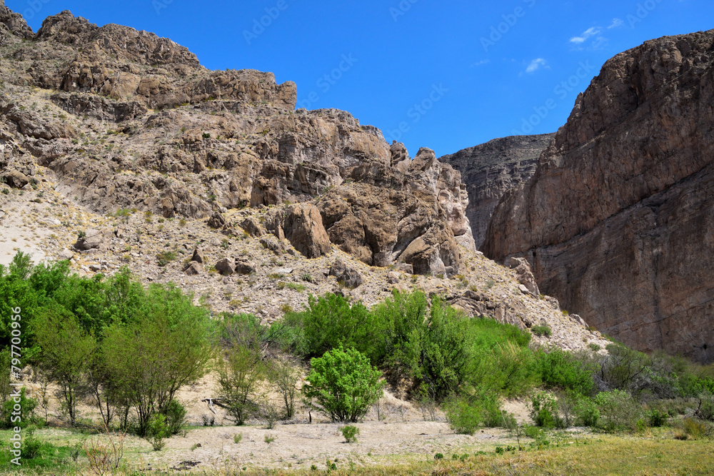 Gorge with green vegetation in Big Bend National Park. Texas, USA