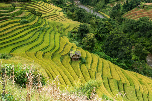 The beautiful rice terraces of Mu Cang Chai  Yen Bai  Vietnam