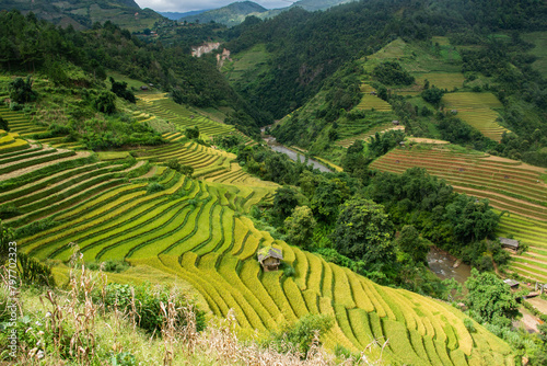 The spectacular rice terraces of Mu Cang Chai, Yen Bai, Vietnam