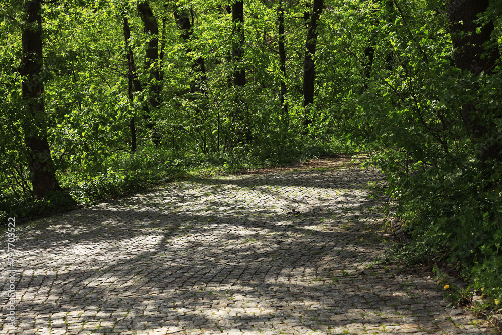 Naklejka premium Road in a landscape park