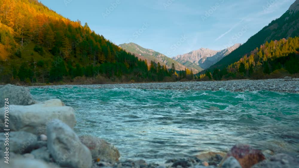 Clear blue mountain river water rushing by scenic colorful autumn trees in the evening sun, Austrian alps
