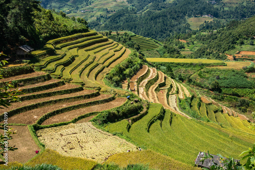 The beautiful rice terraces of Mu Cang Chai, Yen Bai, Vietnam © raquelm.