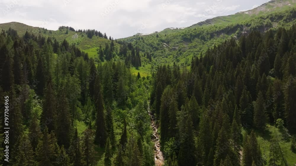 Aerial of a small mountain creek surrounded by a green forest and meadow Aerial of a small mountain creek surrounded by a green forest and meadow